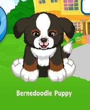Webkinz Classic Bernedoodle Puppy Adoption Code Only Messaged PROMO PET