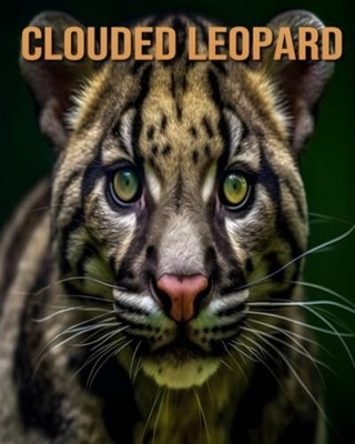Clouded Leopard Learn About Clouded Leopard and Enjoy A -  NEW TRISTAN. FAIRWO 2