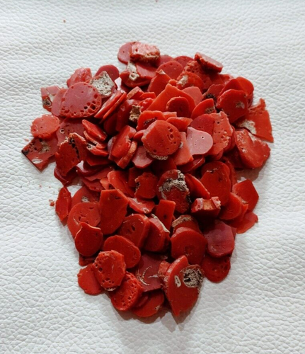 100% Natural Coral Rojo Piedras Preciosas Sueltas Ásperas Italia Coral Áspero Chip 50" Psc Un Lote - Imagen 3 de 3