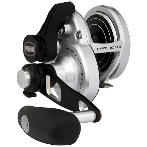 PENN International FATHOM II 2 Speed 15XNLD2 Baitcasting Reel | eBay