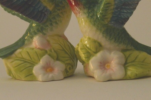 Hummingbirds Salt & Pepper by Charles Sadek - Foto 5 di 5