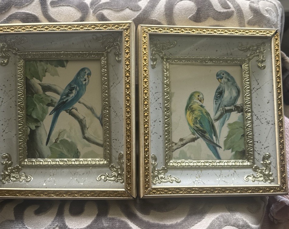 Set of Small Framed Bird Prints with Ornate Gold Shadowbox Frames, Portraits