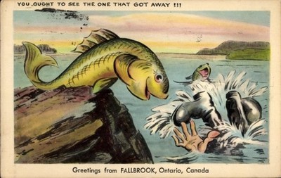 Ak Fallbrook Ontario, Kanada, Fischer flieht vor Fisch - 4966031