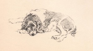 Welsh Springer Spaniel - CUSTOM MATTED - Vintage Dog Art Print - 1937 L. Dawson