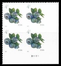 US 2022 SC#5652 Blueberries Plate Block of 4 - BOTTOM RIGHT - MNH