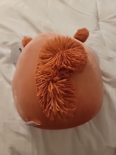 Squishmallows Select Series Bejia the Red Squirrel 12" NWT Fuzzy Ears & Tail - Picture 6 of 7