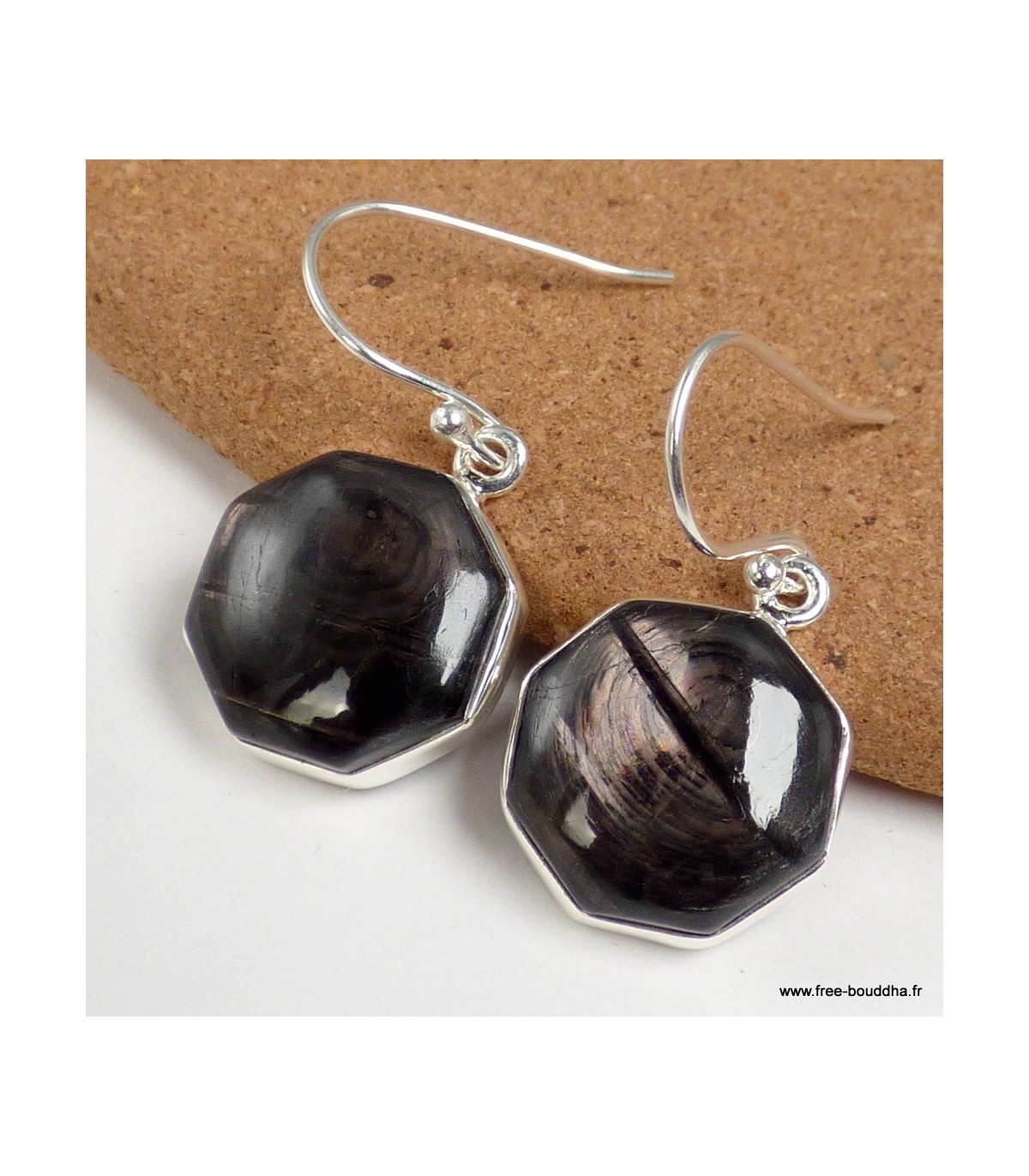 Boucles d'oreilles Hypersthène hexagonales AW92.1, idée cadeau d'anniversaire original