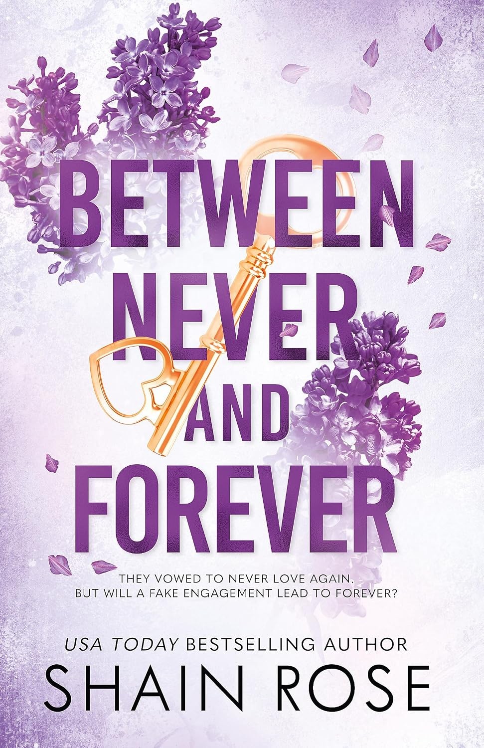 BETWEEN NEVER AND FOREVER by Shain Rose Paperback - Image 5