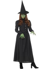Storytime Evil Wicked Witch Women's Costume