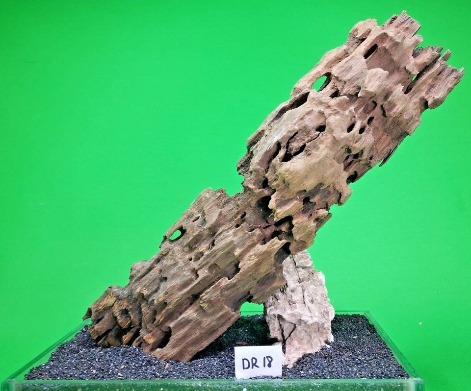 Qianly Wooden Driftwood For Aquarium – 10-12 Inch Sunken Tree Root Hideaway Decoration For Fish & Reptile Tanks