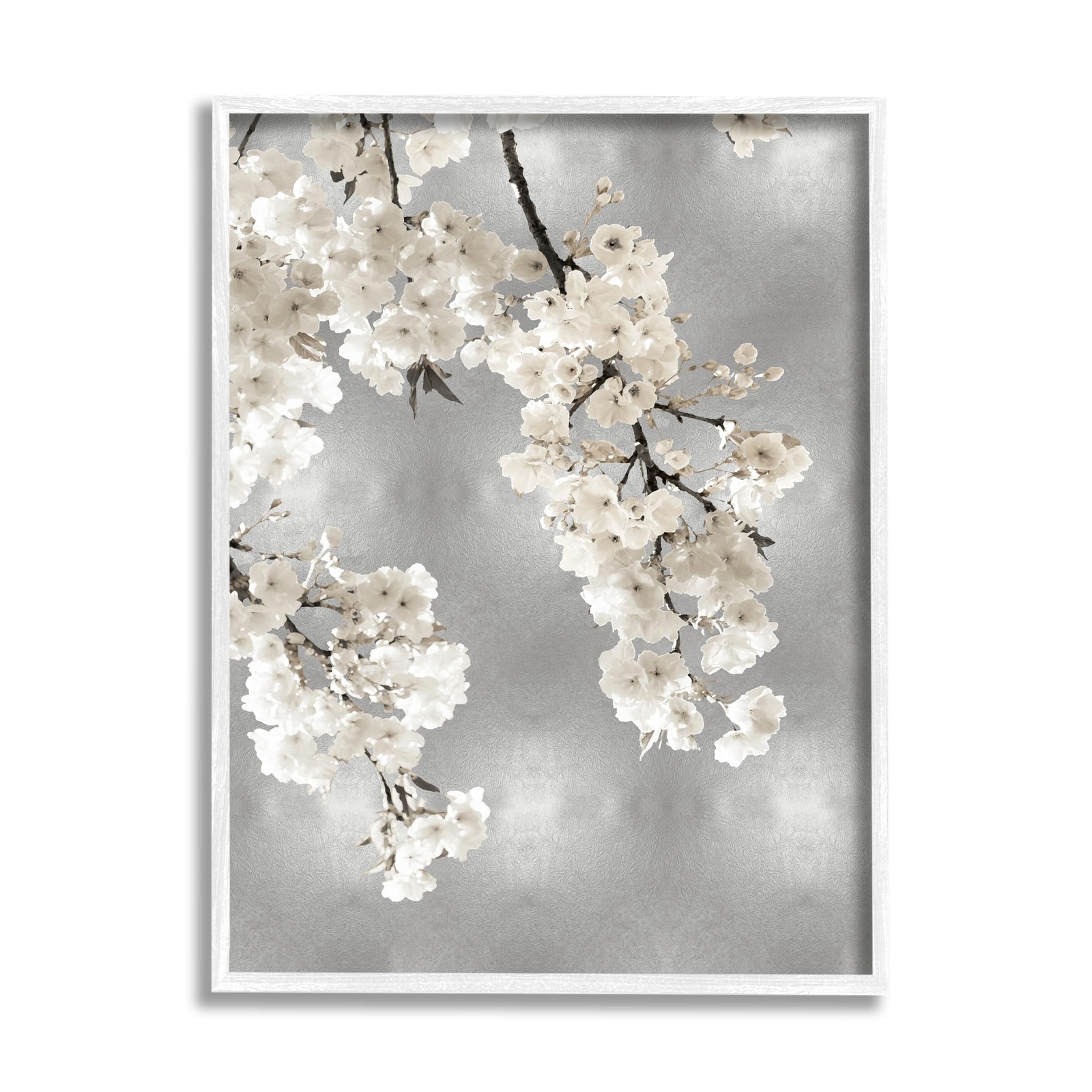 Modern White Cherry Blossoms Framed Giclee Art by Kate Bennett