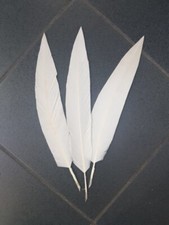 PENNA  D'AQUILA FLEX GINNICA PER CAPPELLO ALPINO DI COLORE BIANCO