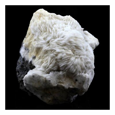 Baryt + Sphalerit. 1761,0 ct. Les Malines, Saint-Laurent-le-Minier, Okzitanien