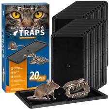 Sticky Mouse Trap, 20 Pack Large Glue Traps, Pre-Baited Heavy Duty Non-Toxic ...