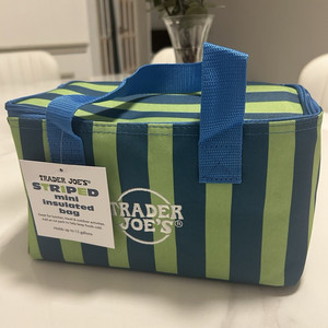 Trader Joe's Mini Insulated Striped Lunch Bag Multicolor 1.5 Gal 10x6.5x6.5