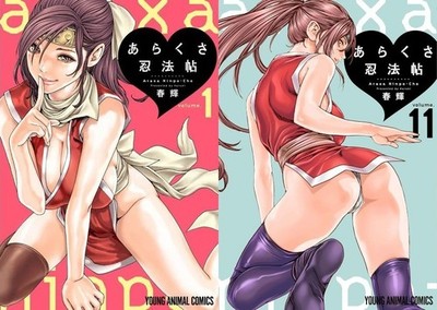 Arakusa Ninpouchou Ero Ninja Scrolls Comic Manga Vol.1-11 Buch Set Japanisch