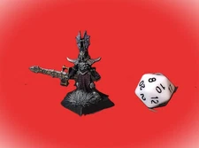 dungeons and dragons vintage 25mm pro painted RAL PARTHA hero, dark hero