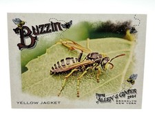Yellow Jacket #BUZ-13 2024 Topps Allen & Ginter Buzzin