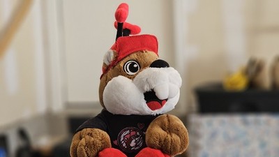 Buc-ee's Valentine Beaver Plush ''Love is in the Air'' Bucees
