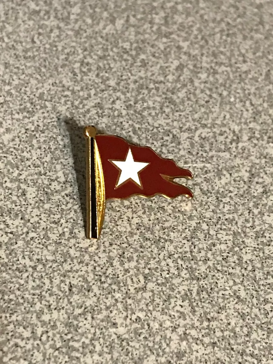Red white 2024 star flag