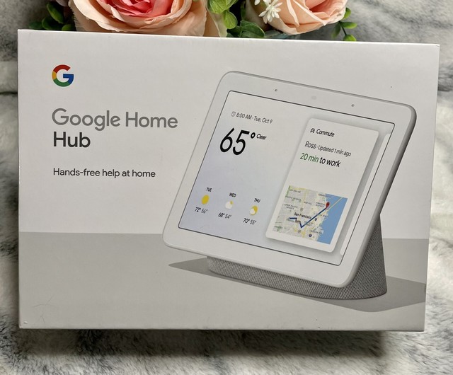 nest hub google assistant