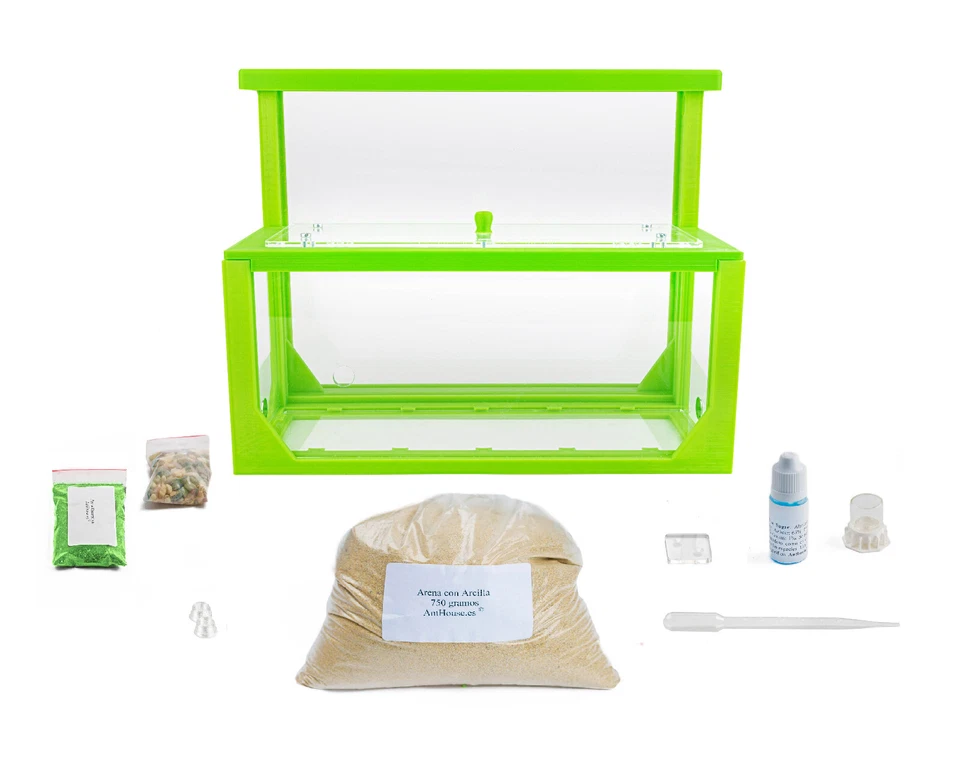 Natürliche Ameisenfarm aus Sand - Modell 3D L (Sandwich + Futterbox) (Gratis Ame - Bild 3 von 4