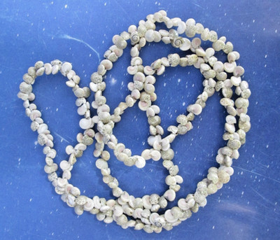 Vintage Seashell Necklace Lei Snail Shell Coastal Beachy Miniature Boho Hippy