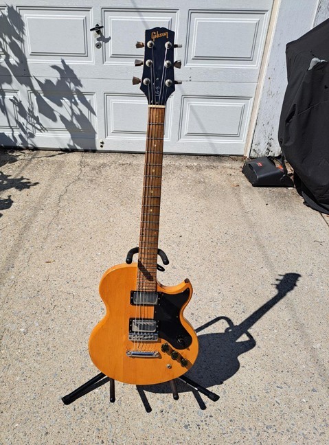 Gibson L6S Guitar