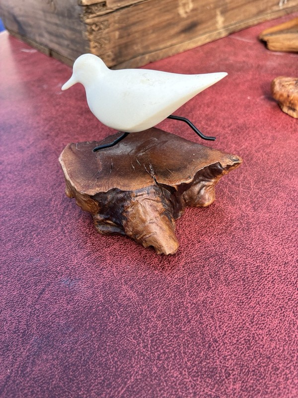 John Perry Seagul Sitting On Burl Wood Sculpture