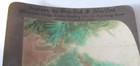 Griffith & Griffith Stereoview Photo White House Conservatory Washington D.C. — photo 3