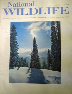 JAN 1966 MAGAZINE PAGE #038- DANGEROUS STRIP MINING DESTROYS WATERSHEDS- 3 PAGES