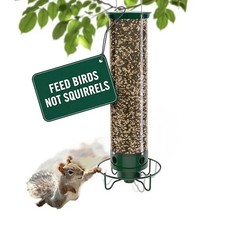 Droll Yankees Squirrel Proof Bird Feeder for Outdoors, 5 lb Seed Capacity