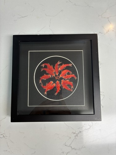 🔥Chinese Silk Embroidery Art Handmade Koi Fish Decor Ethnic Folk Handicraft🔥
