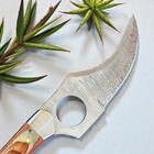 Skinner Hunting Knife | Damascus Steel | Pakka Wood Handle | D130 — photo 5