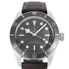 Tudor Black Bay Automatique 39mm Très bien M79010SG-0001 Argent 2021