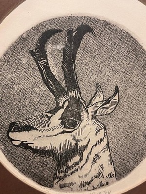 Vintage Pronghorn Antelope Etching Print # 9/9 Artist Signed Maria Boccia 1974