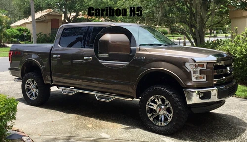 Painted H5 Caribou Metallic Side View Mirror Covers Cap Set For 15-20 Ford F150