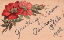 Greetings Card from Cartersville Georgia 1908 Red Flowers Bloom Vintage Postcard