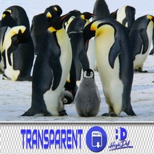 60 PENGUINS TRANSPARENT PNG PHOTOSHOP OVERLAYS, ISOLATED ANIMALS PNG FILES