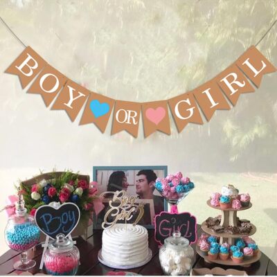 Boy or Girl Sign Gender Reveal Sticker Peel and Stick Theme Decals Baby Party De