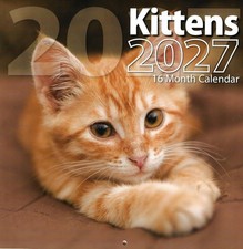 2027 Kittens 16-month Sept 2026 - Dec 2027 12"x12" Wall Calendar NEW-FREESHIP