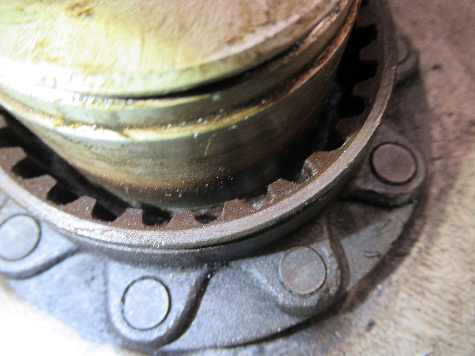 BMW Airhead /5 Rear Wheel r50/5 r60/5 r75/5 NEW Rim SS Spokes NSK Bearings