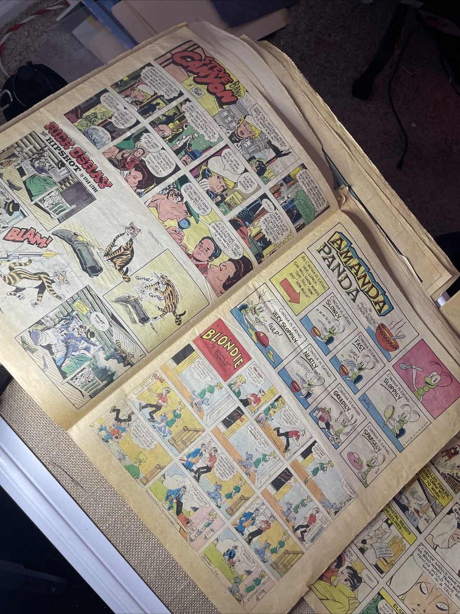 アメリカの新聞漫画　レトロ　希少本　７０s VINTAGE COMIC STRIPS 1970's Newspaper Funnies LOT Peanuts Cartoons