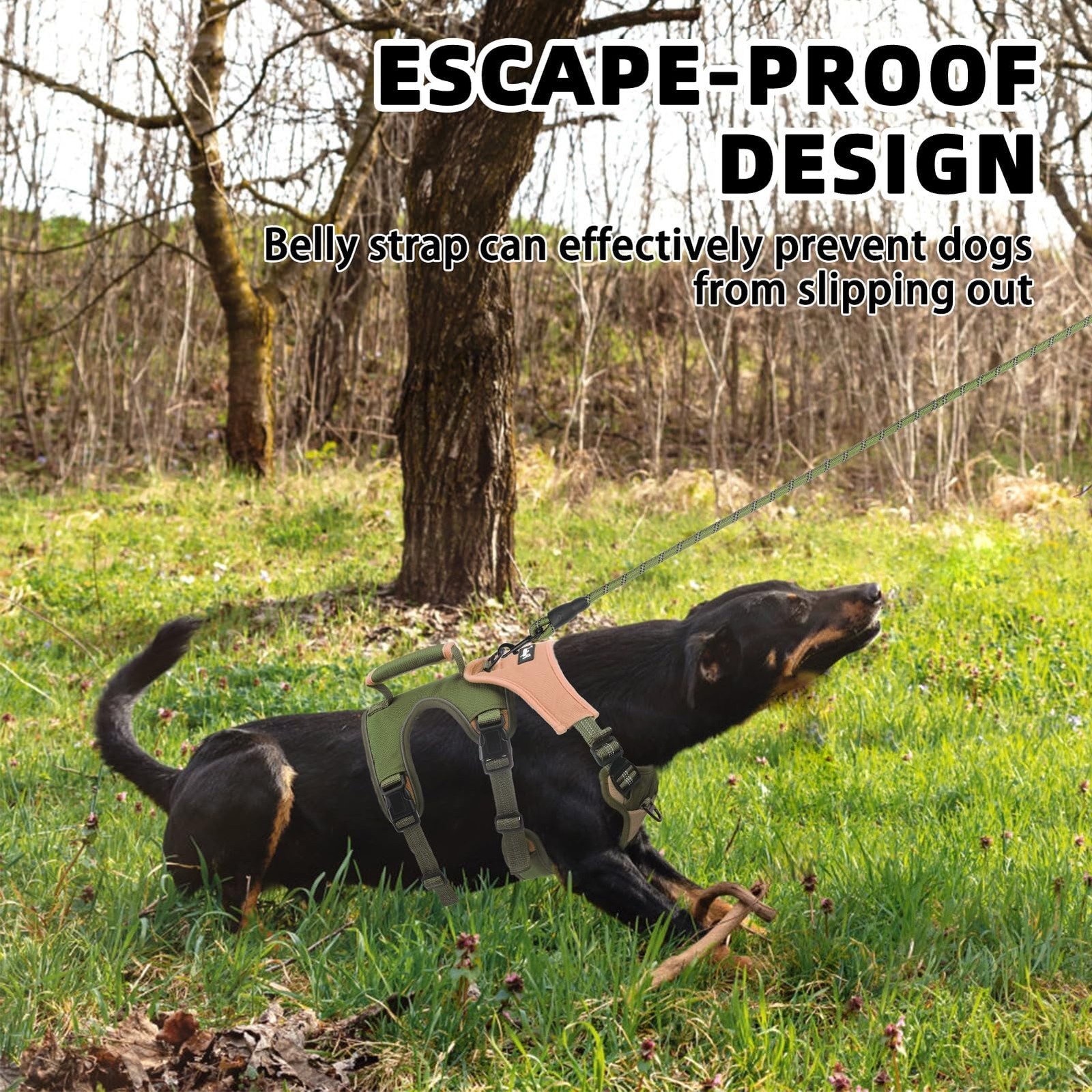 Escape Proof Dog Harness and Leash Set Upgraded No Pull Reflective Dog Vest w...