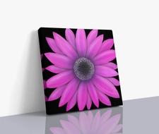 Pink Daisy Flower Canvas Wall Art Modern Floral Gicl e Print 24x24 Home Decor