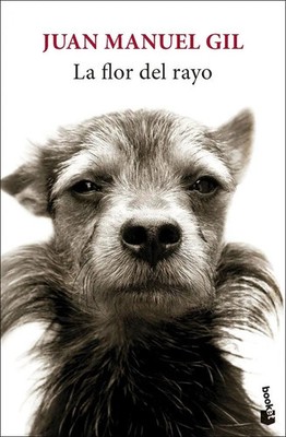 La flor del rayo | Juan Manuel Gil | Spanisch | Taschenbuch | 2025 | Booket