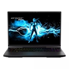 Medion Erazer Nb Beast X40 Intel Core I9 32gb 2tb Rtx 4090 240hz 17.3 I 30038269