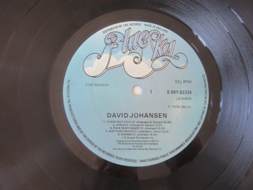 DAVID JOHANSEN S/T BLUE SKY 1978 UK 1ST PRESS VINYL LP SKY82335 NEW YORK DOLLS - Picture 6 of 11