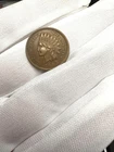 1893 Indian Head Cent Penny