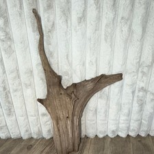 Natural Driftwood Branch for Reptile Terrarium, Approx. 22" Tall x 15" Wide
